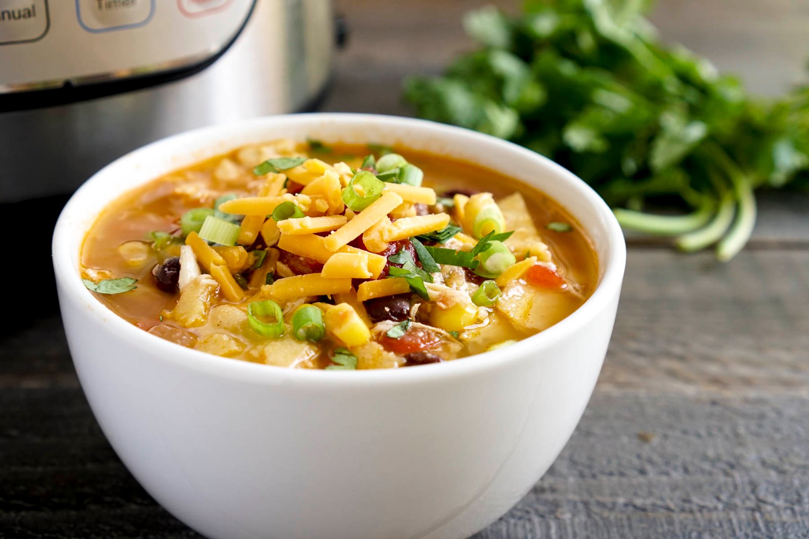 This Instant Pot chicken tortilla soup is so healthy and delicious!