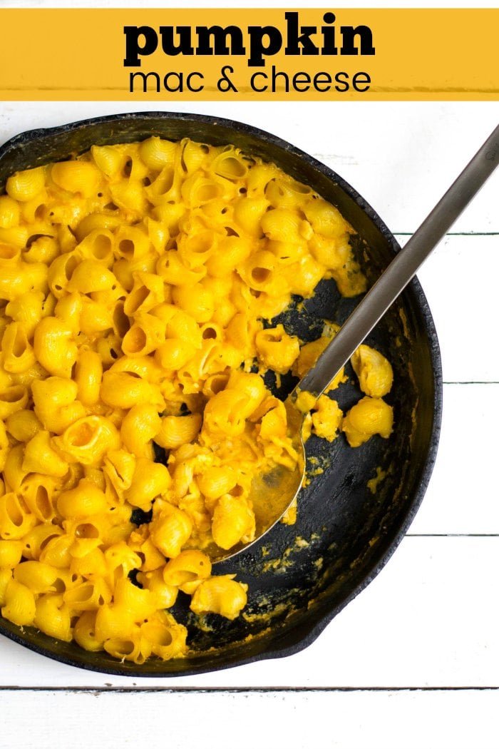This pumpkin macaroni and cheese is a healthy, kid-friendly meal that will add extra vegetables to your dinner table or lunch box.